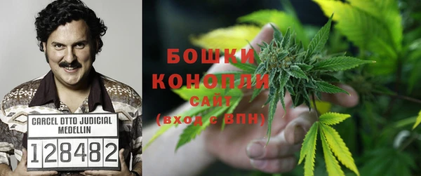 амф Арсеньев