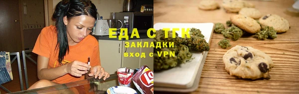ГАЛЛЮЦИНОГЕННЫЕ ГРИБЫ Аркадак