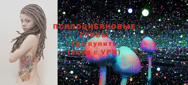 амф Арсеньев