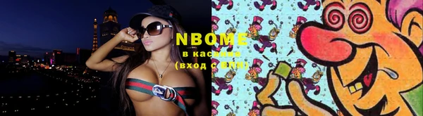 ГАЛЛЮЦИНОГЕННЫЕ ГРИБЫ Аркадак