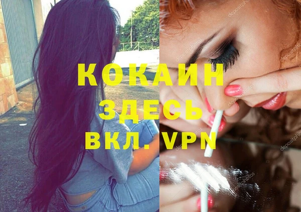 амф Арсеньев