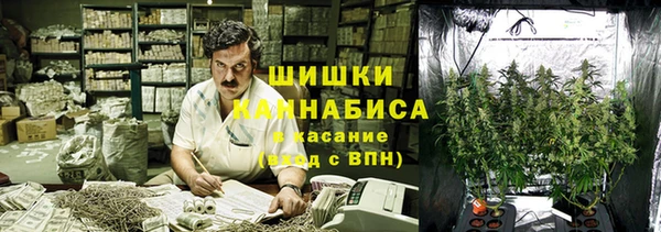 амф Арсеньев
