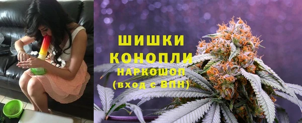 амф Арсеньев