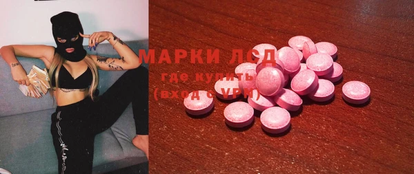ГАЛЛЮЦИНОГЕННЫЕ ГРИБЫ Аркадак